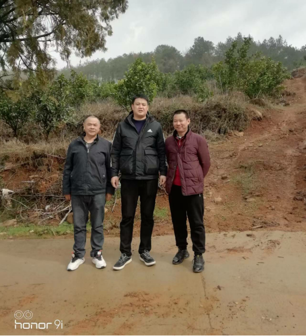 1685676318127585.jpg 1685676225044.jpg