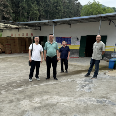 1728869752124256.jpg 1728869711806.jpg